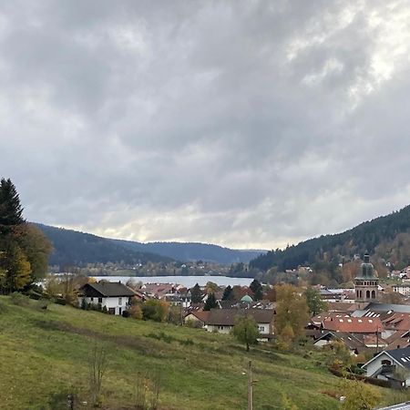 Entre Lac Et Pistes De Ski Gérardmer Buitenkant foto